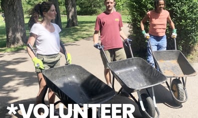 volunteer