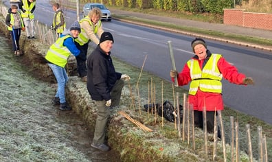 volunteers green
