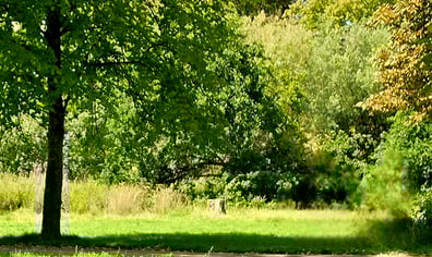 20250809_142112(1)