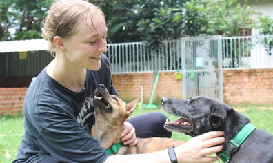 3df34c22-7df6-410f-a8b3-0822be263bfd