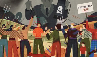 600122376_1311081224389413_4311704904567107482_n (1)