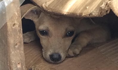 6e820c0af3a1725577af44b5a998b013