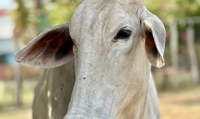 7580be9e-dda0-4546-9945-9ad81552bacf