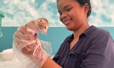 9d3aedfe-9a72-4fcf-9963-982055b46b99