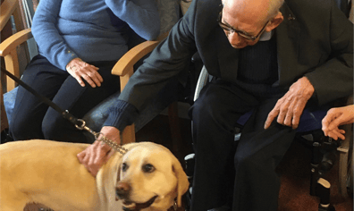 albert_margaret_dog_2019_07_24_03_03_09_pm