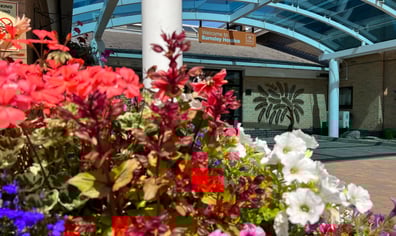 Barnsley Hospice