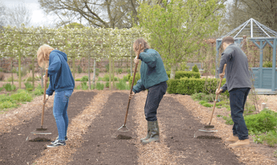 black_mountains_college_regenerative_horticulture_raking_1_dsc_2481_2021_09_21_04_24_44_pm