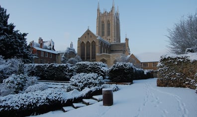 BSE in snow 041