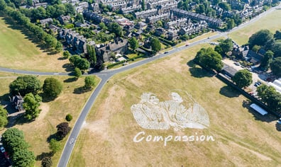 CAG_Huge_Landart_Halifax-021