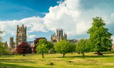 Cathedral-and-paddock
