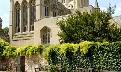 Cathedral from Rose Garden
