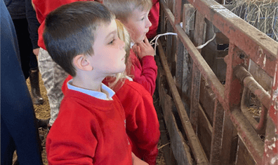 children_watching_animals_2022_06_06_01_03_35_pm