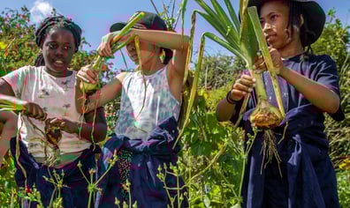 Children with plants crop