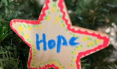 Christmas Star 23_1