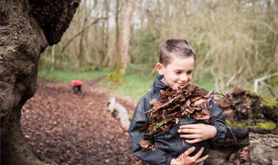 cub_carrying_leaves_jpg_2020_05_27_10_48_20_pm