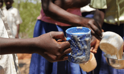 cup_of_maize_2019_08_08_01_47_06_pm