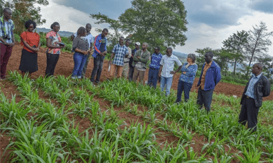 data_driven_agriculture_implementation_and_case_study_e1564650237826_2019_11_19_10_38_36_am