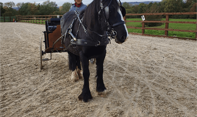 debbie_with_missy_in_outdoor_arena_2020_04_01_03_50_54_pm