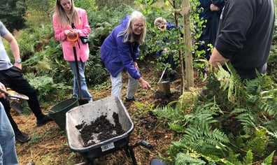 Family Indian's Head