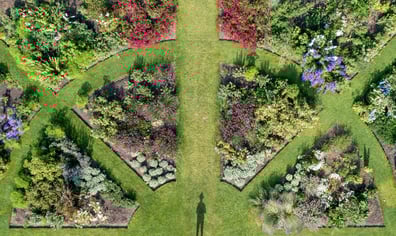 garden 1