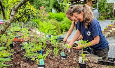 Gardening-petra-web