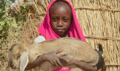 Girl-with-Goat-Hawa-Geleidat-2018-1024x743