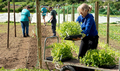 growing_well_charity_jobs_4_2023_09_05_05_06_07_pm