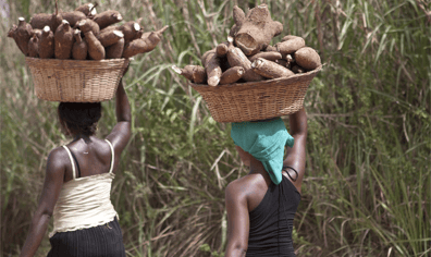 head_loading_in_ghana_2017_04_03_03_34_38_pm