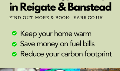Home Energy Surveys  (2)