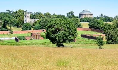 Ickworth Rotunda, New Roof, Summer (18)