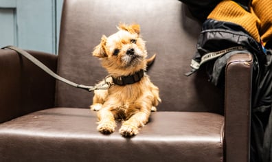 image00030_compressed