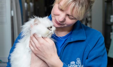 Jenny-with-Cat