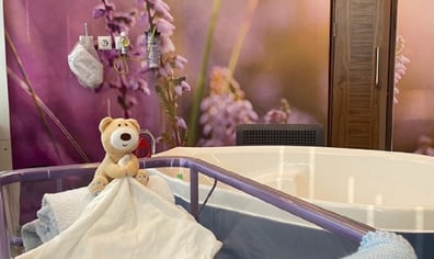 lavendar_suite_birthing_cot_2023_02_15_03_10_10_pm