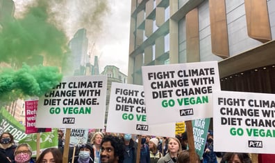 london_cop26_climate_vegan_march2021_2023_03_06_02_09_39_pm