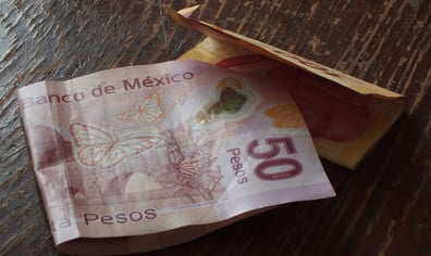 mexican_money_pixabay_2023_03_02_07_44_41_pm