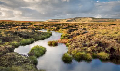 peak_district_moorland_credit_moors_for_the_future_partnership_2023_09_26_10_30_49_am