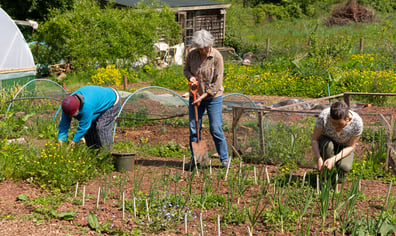 People-planting-Beccy-Strong-scaled
