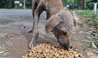 PHOTO-2025-10-04-13-07-26