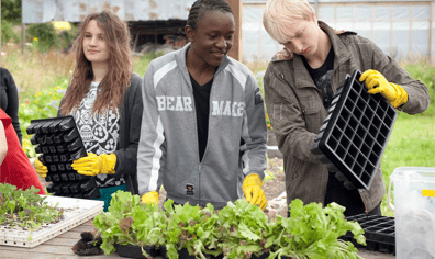 planting_lettuce_fforest_2012_2017_08_28_01_22_01_pm