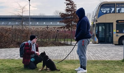 Riley Piers and Jasper Puppy training 14 Fev 2025