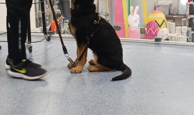 Riley Training 7th March