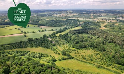 RS8237_Teams Zoom Background Summer Aerial_hpr