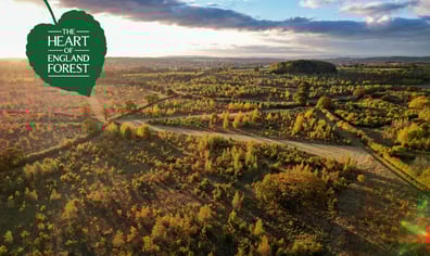 RS8244_Teams Zoom Background Autumn Aerial_hpr