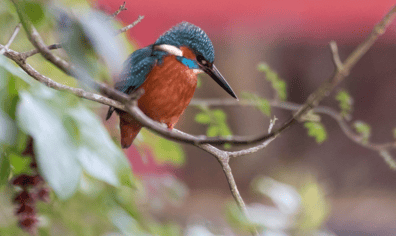 Screenshot 2025-11-20 110927