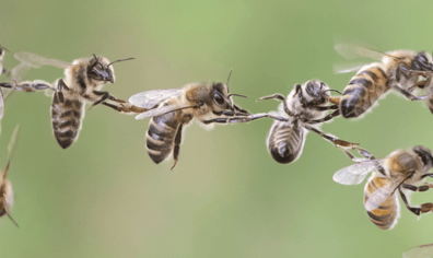 Screenshot 2026-01-14 114932