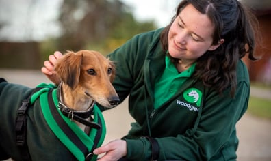 smiling-woodgreen-team-member-with-dog