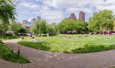 untitled-117-Pano