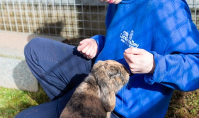 Vicky-with-Rabbit