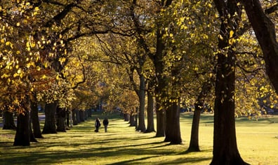 walking_on_the_meadows03b_2016_10_10_11_26_21_am
