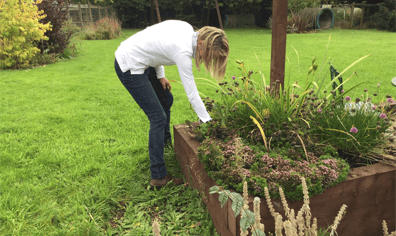 weeding_1a_2018_09_27_02_03_48_pm